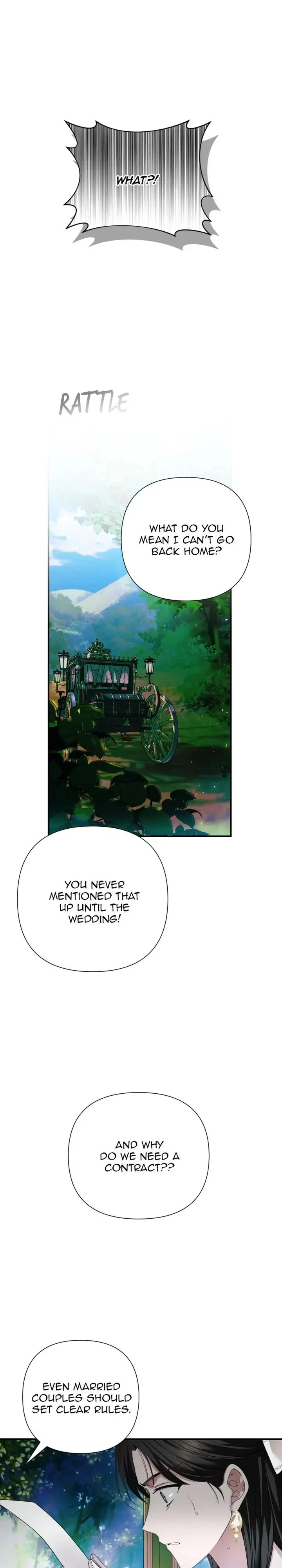 Chapter 1, page 25