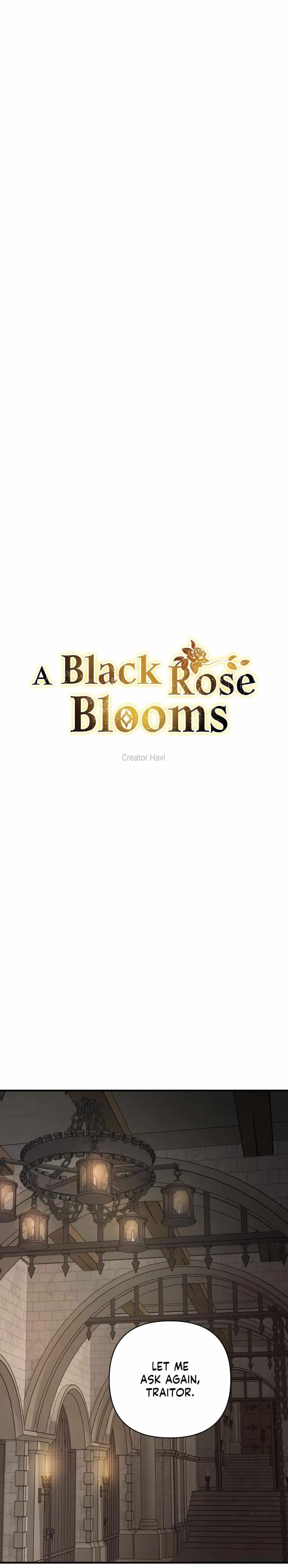 A Black Rose Blooms Chapter 90, page 19