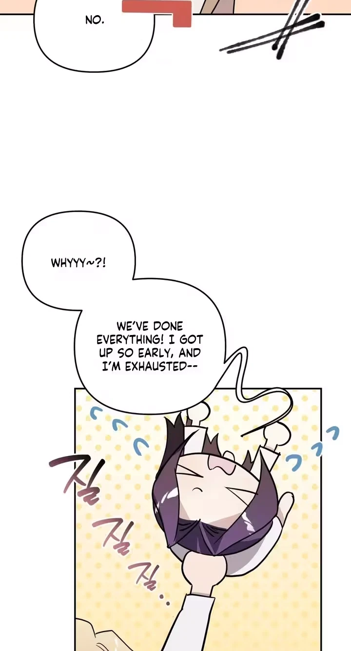 Chapter 2, page 41