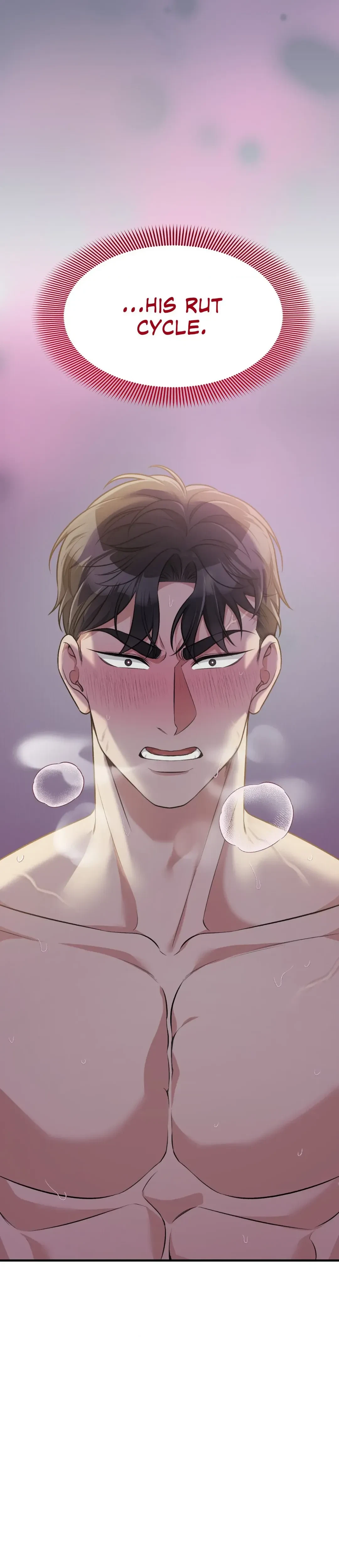 Bride For The Taking Chapter 13, page 28