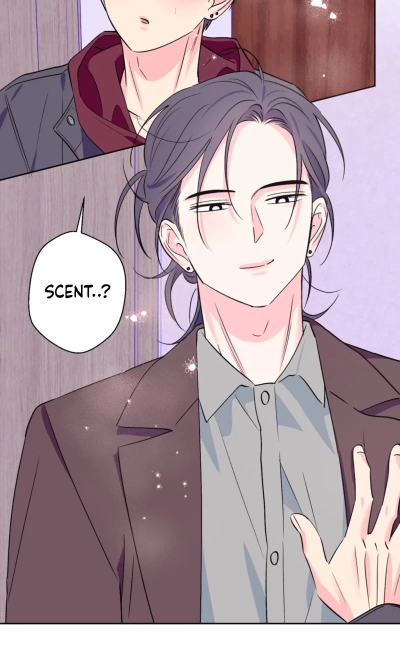 Chapter 96, page 19