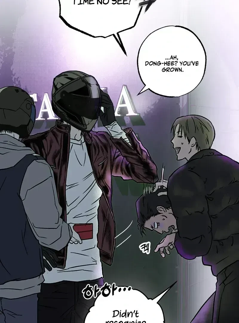 Chapter 1.6, page 117