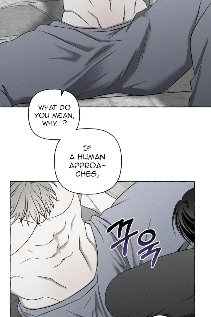 Chapter 6, page 13