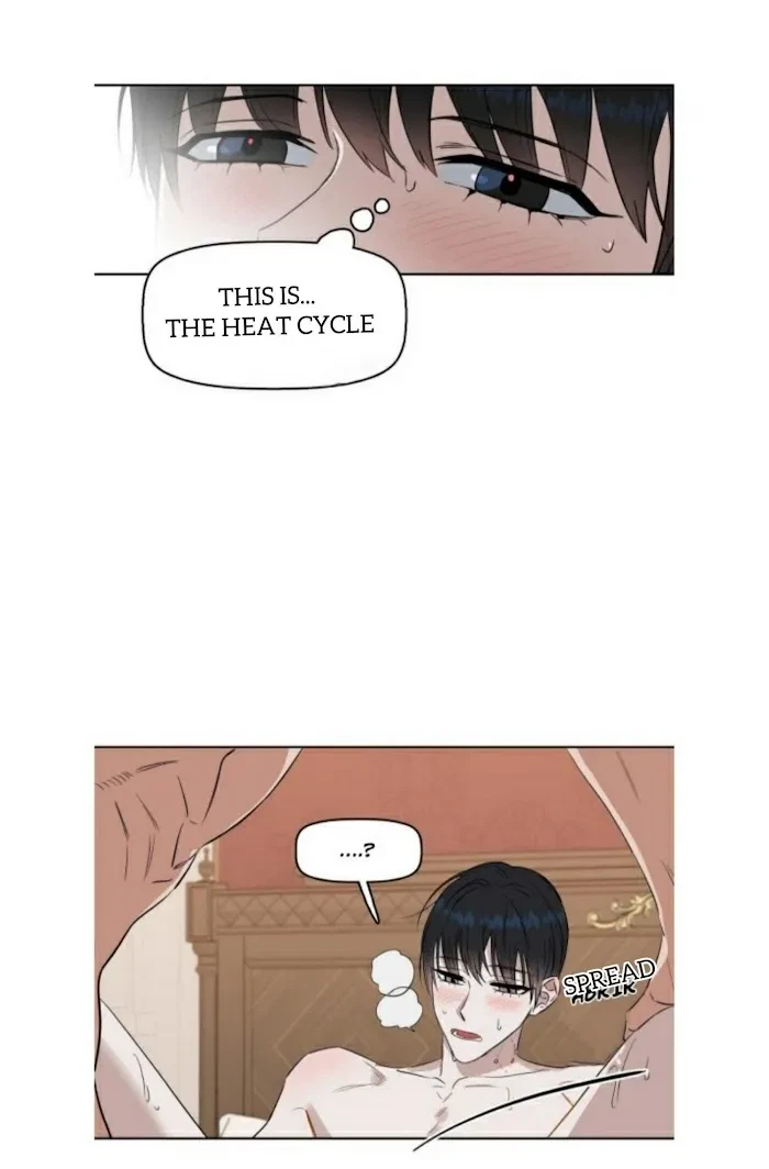 Chapter 19.1, page 25
