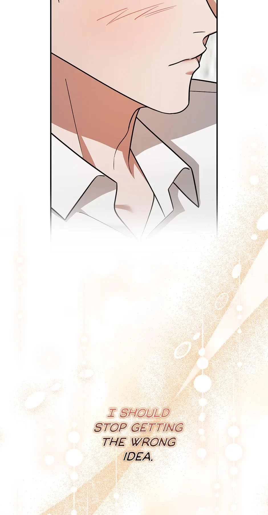 Chapter 17, page 102