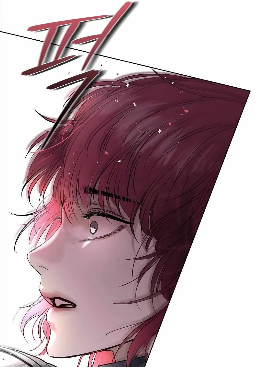 Chapter 1.1, page 79