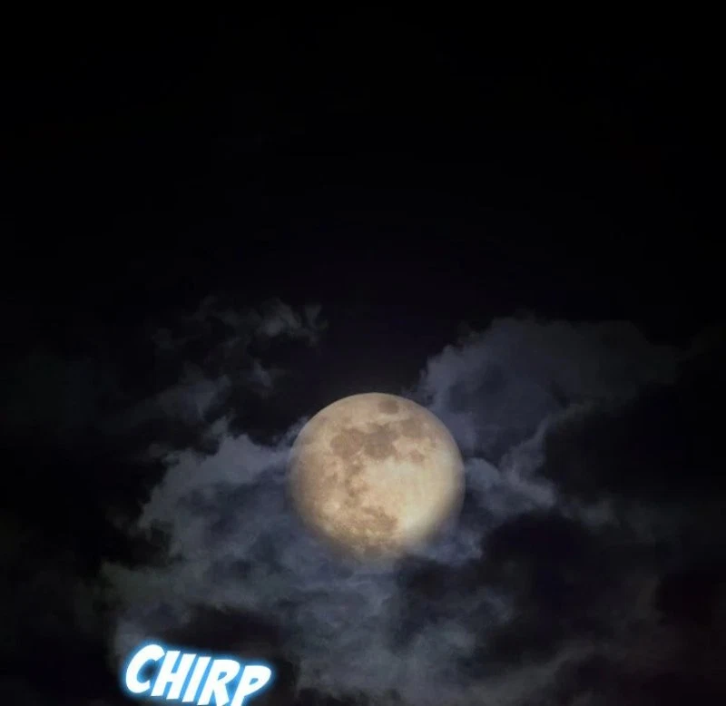 Chapter 81, page 8