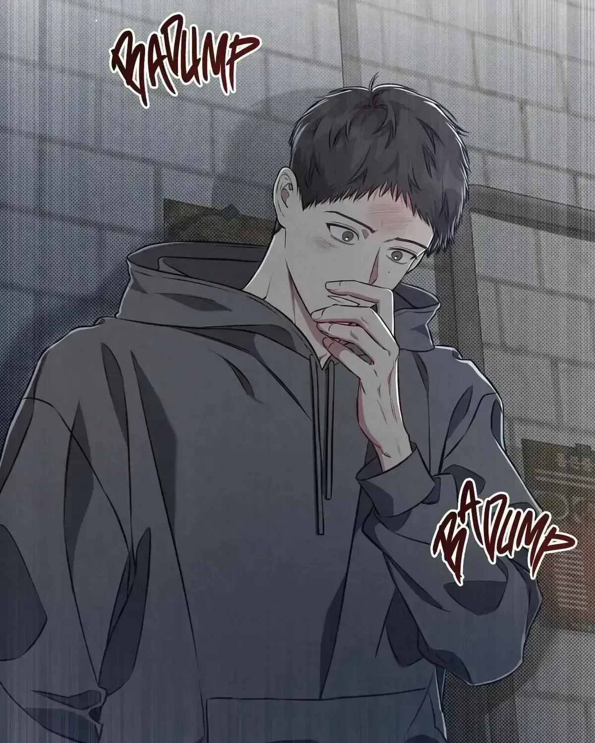 Chapter 4.8, page 91