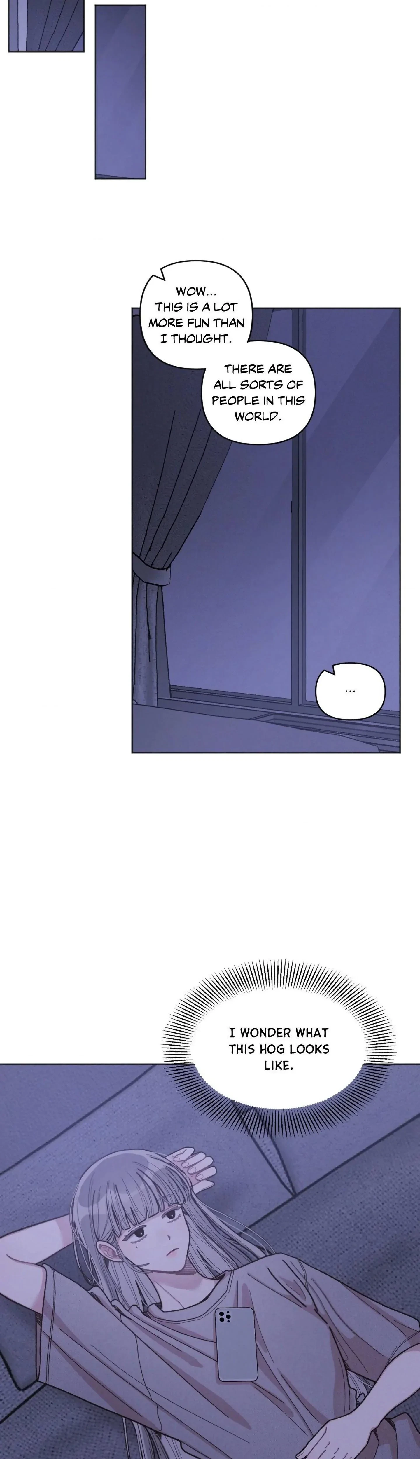 Chapter 1, page 33