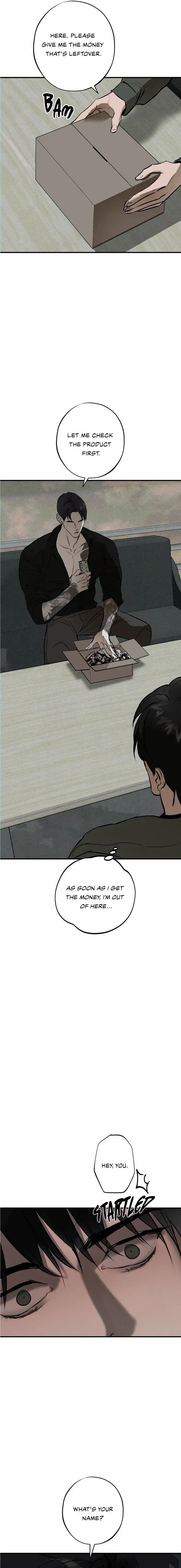 Chapter 2, page 17