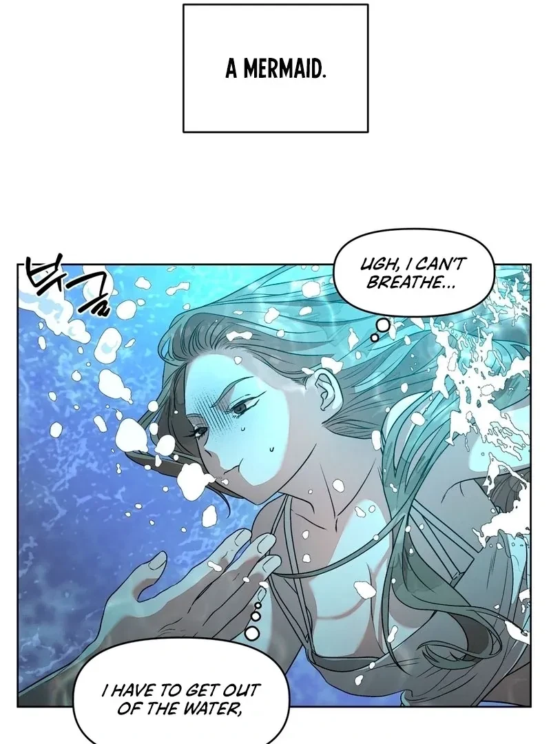 Chapter 1, page 74