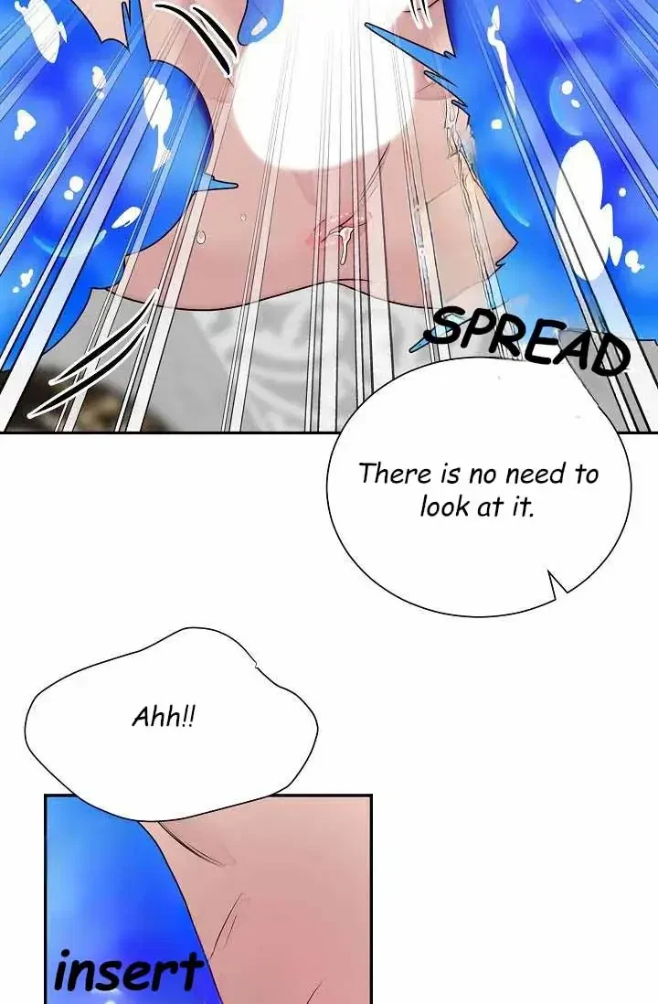Chapter 2, page 32