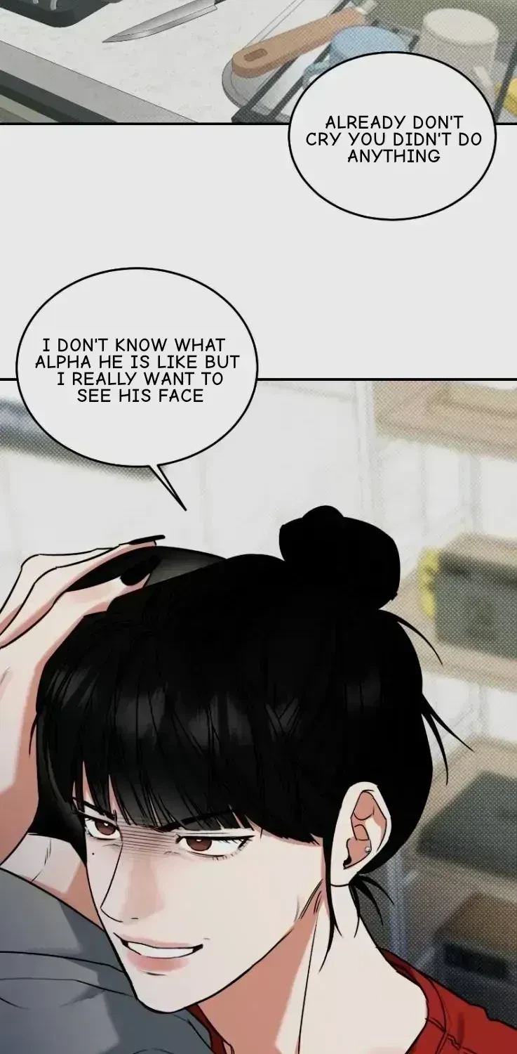 Chapter 2.9, page 98