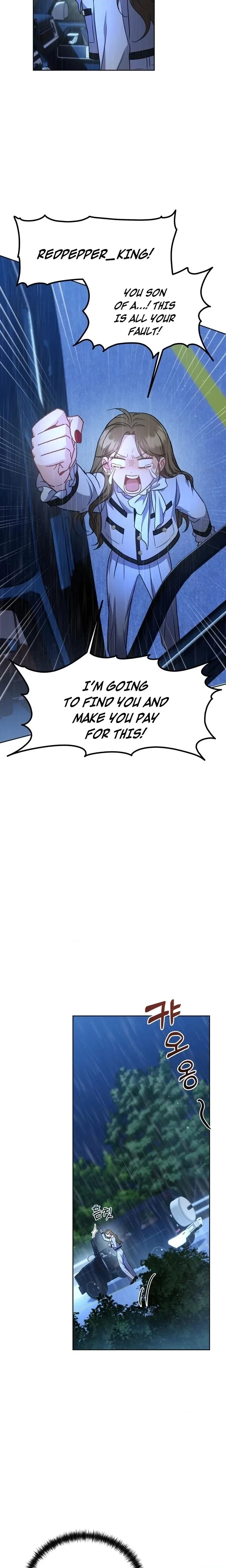 Chapter 1, page 29