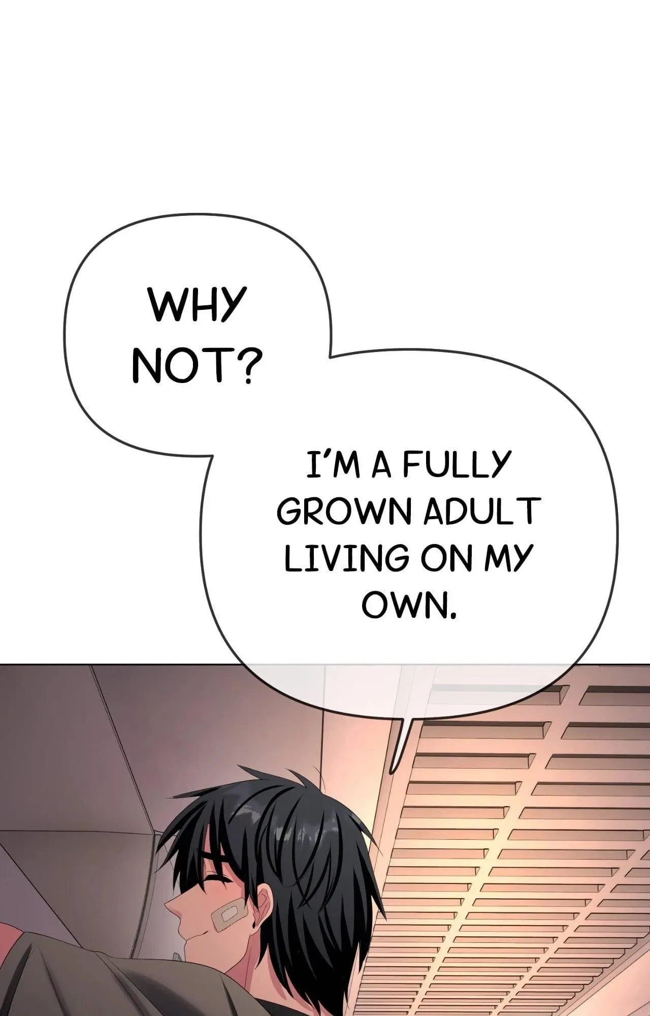 Chapter 15.14, page 13
