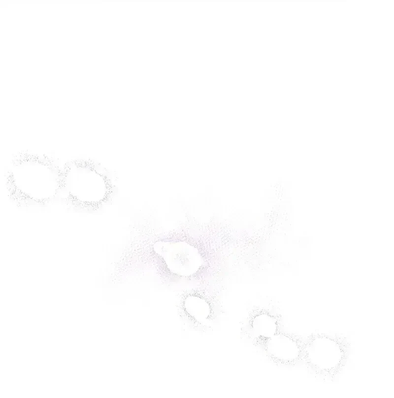 Chapter 1.8, page 47