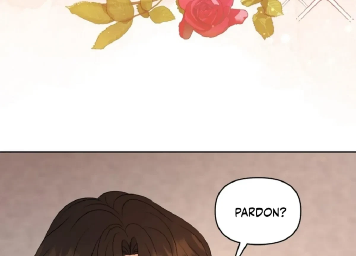 Chapter 2, page 28