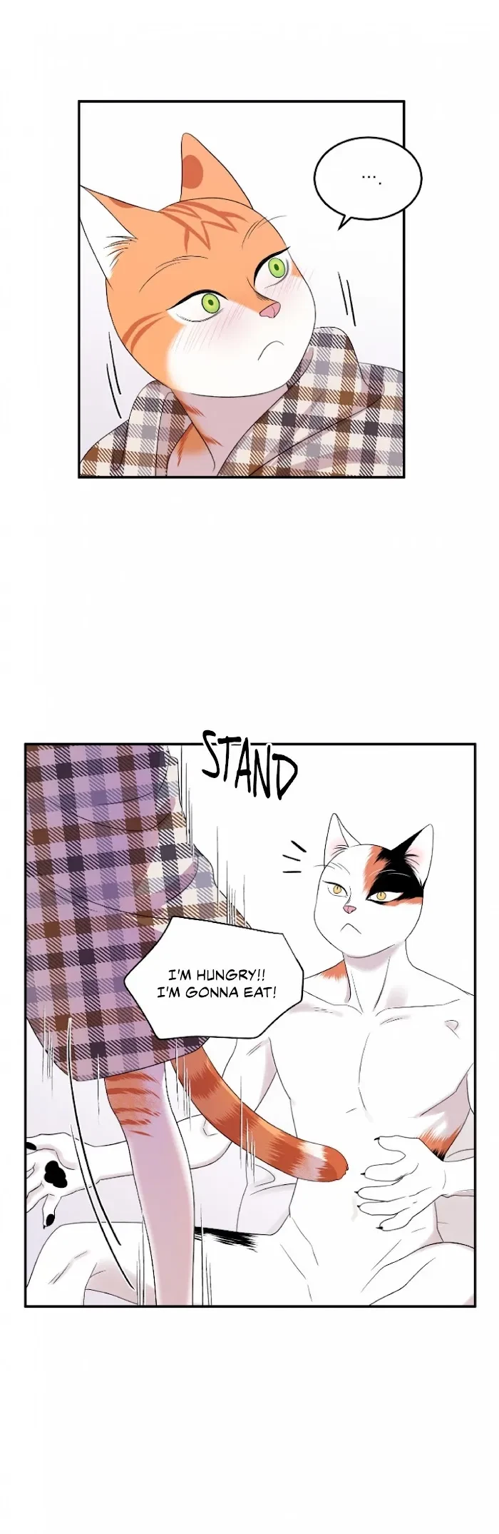 Chapter 4, page 10