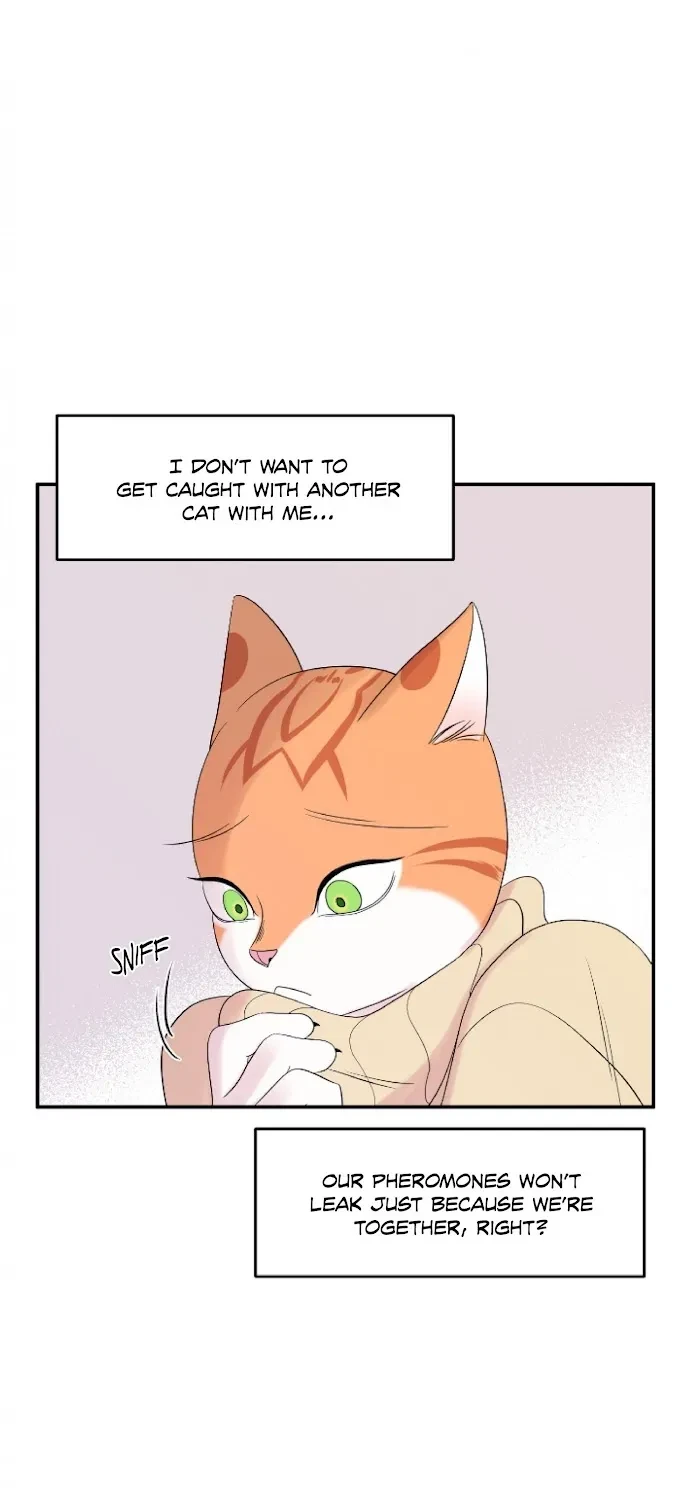 Chapter 4, page 13
