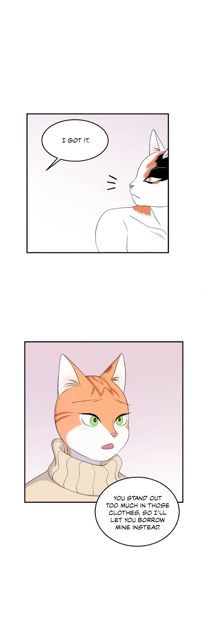 Chapter 4, page 17