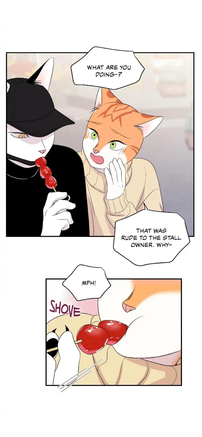 Chapter 4, page 25