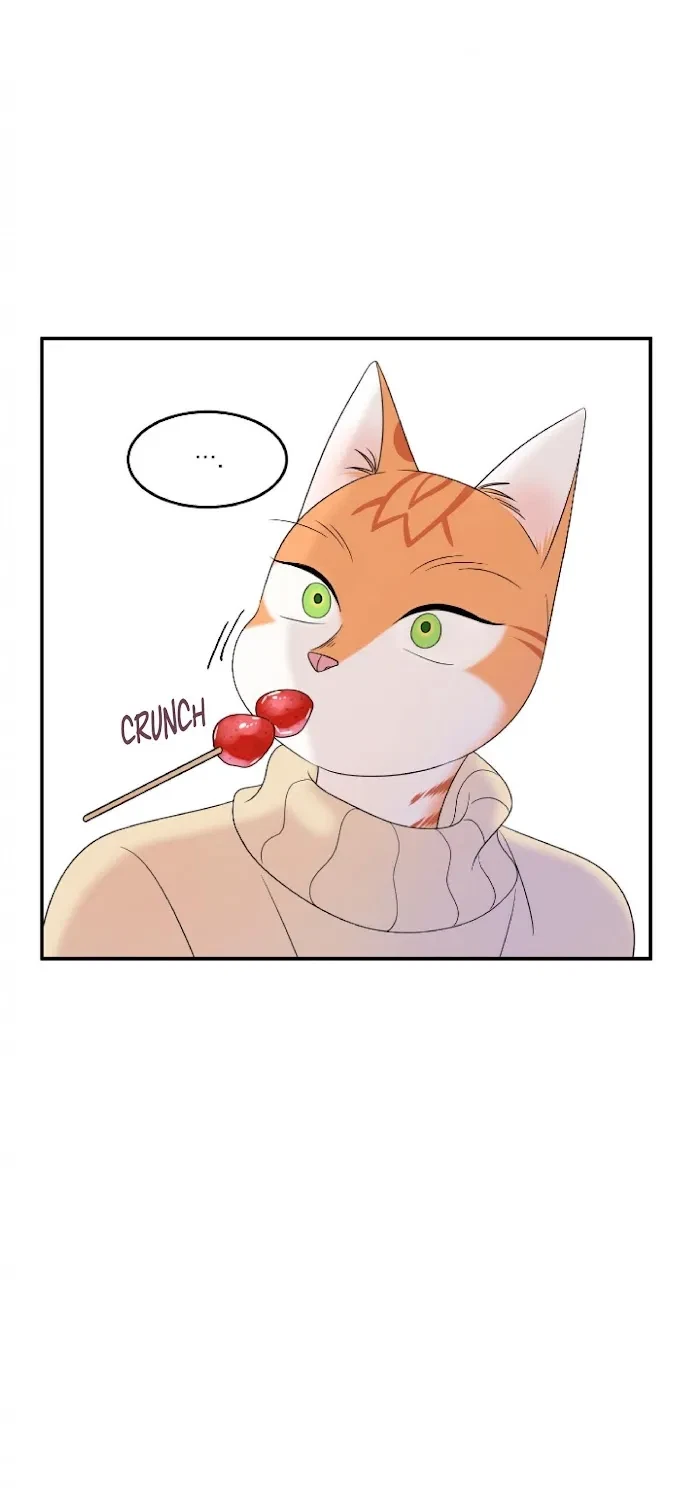 Chapter 4, page 27
