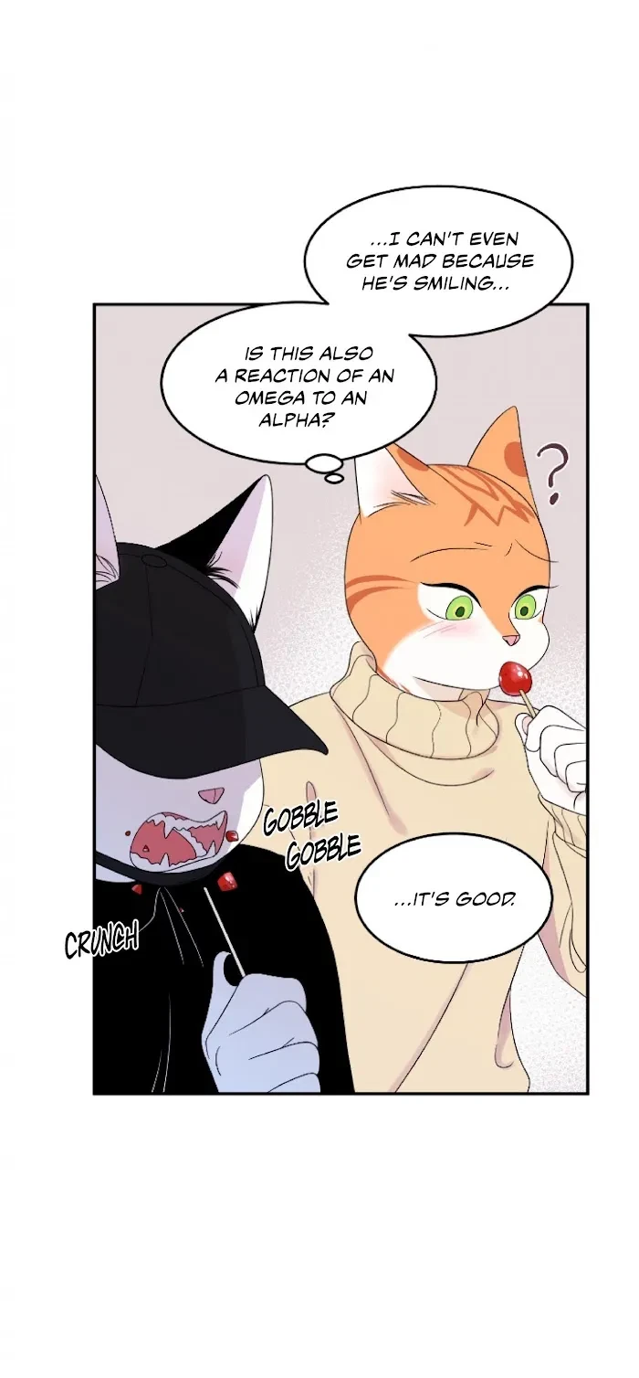 Chapter 4, page 28