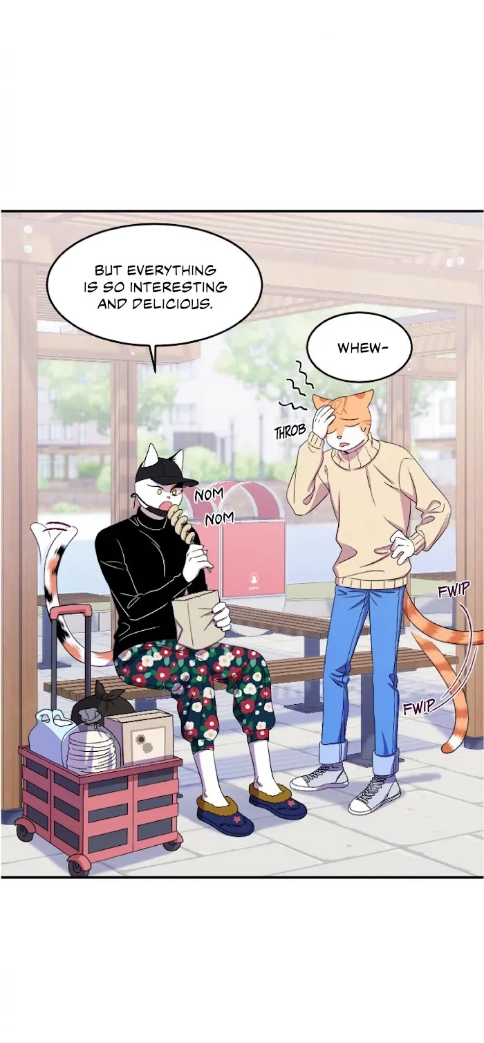 Chapter 4, page 34
