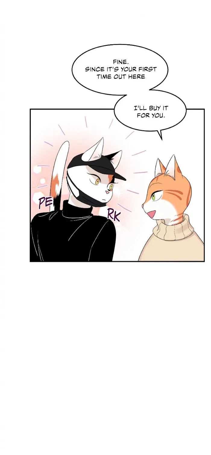 Chapter 4, page 41