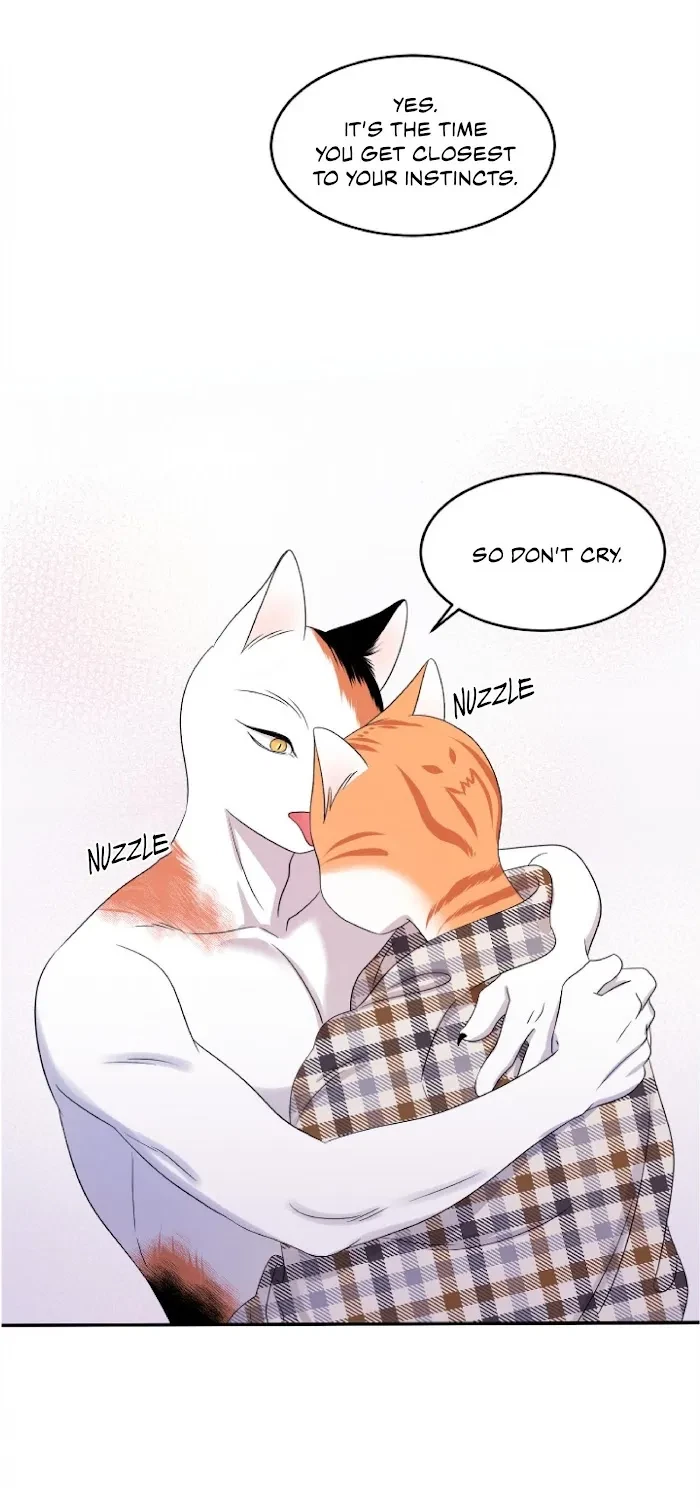 Chapter 4, page 6