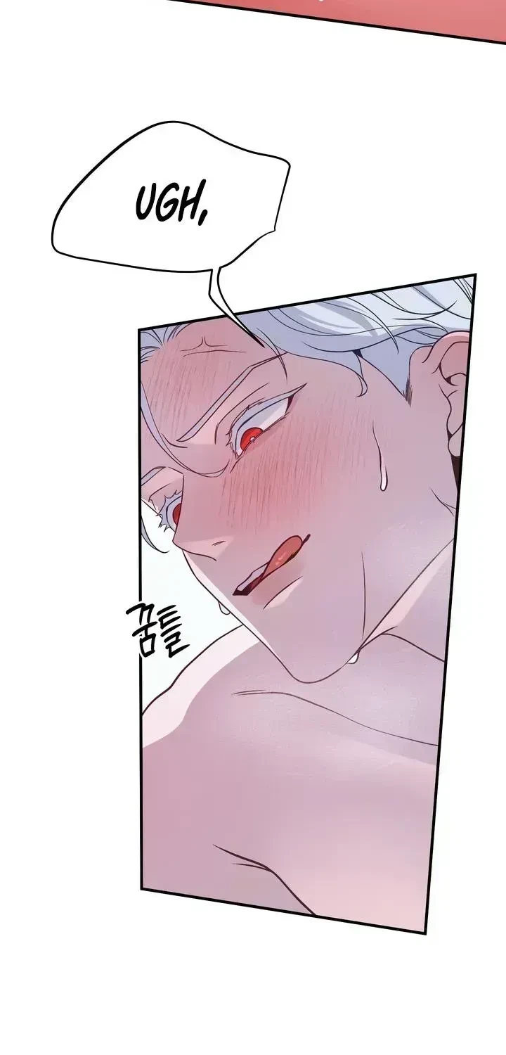 Chapter 2.5, page 62