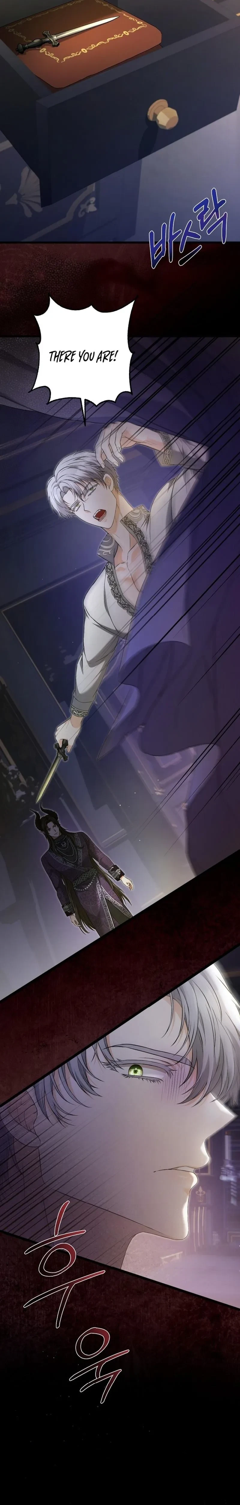 The Covert Of The Countess Chapter 25, page 23