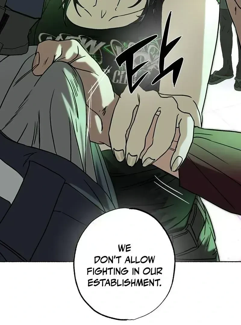 Chapter 2.9, page 98