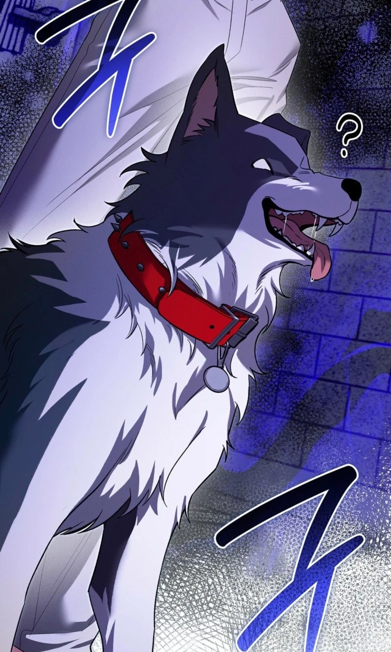Chapter 63, page 49
