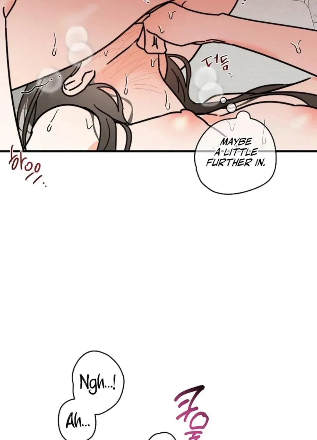 Chapter 1.1, page 51