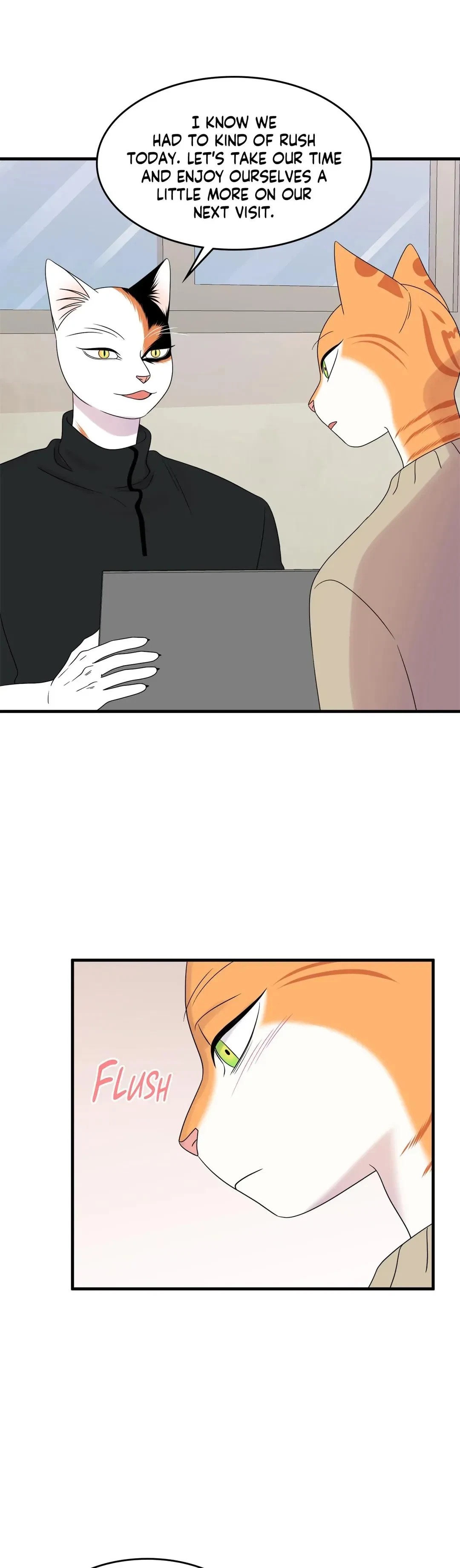 Chapter 51, page 14