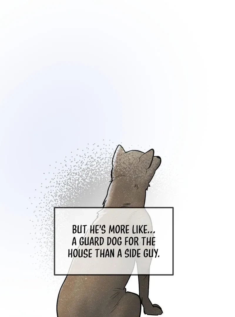 Chapter 3, page 42
