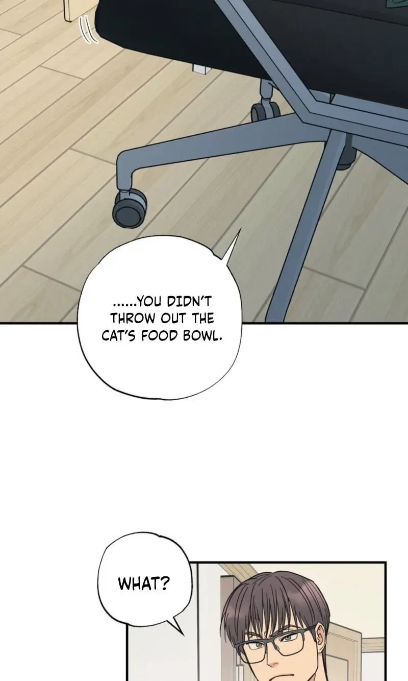 Chapter 17, page 17