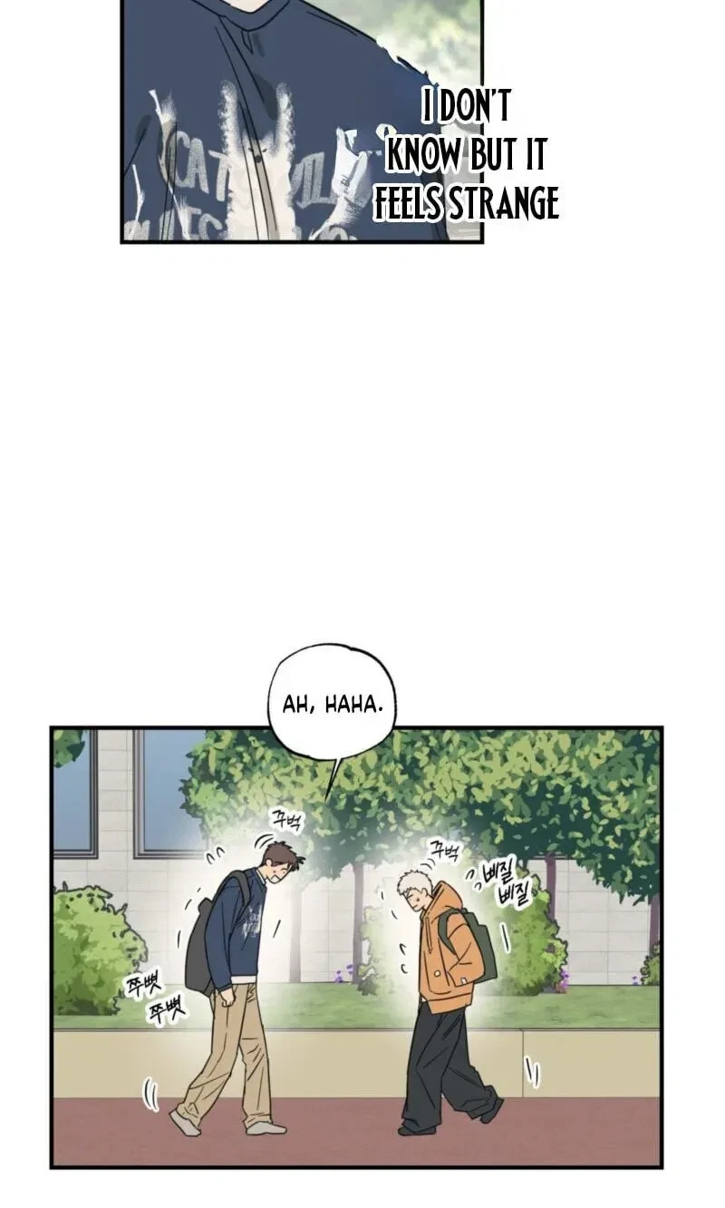 Chapter 17, page 66