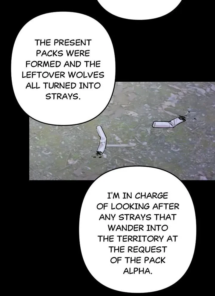 Chapter 61, page 36
