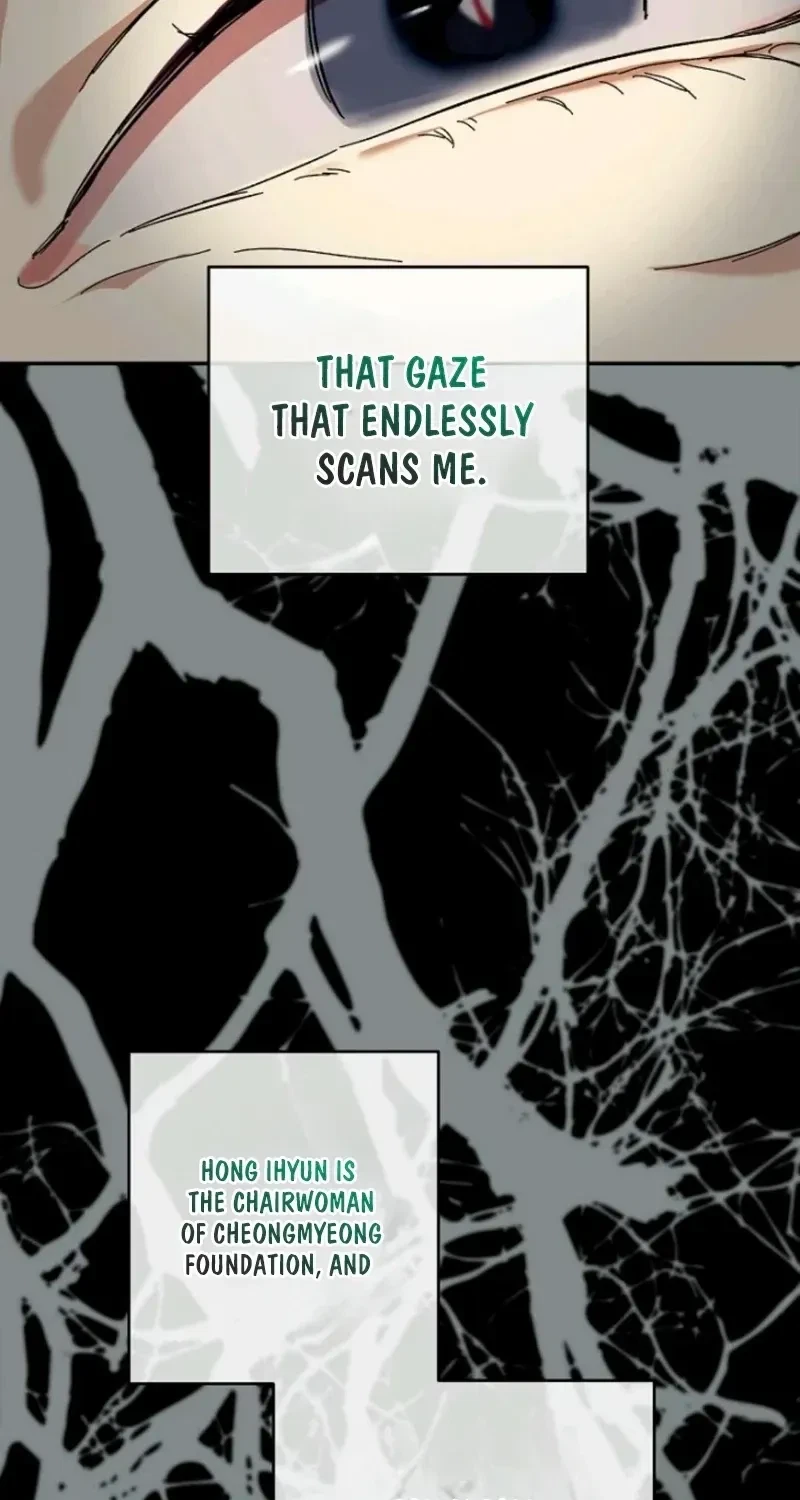 Chapter 1, page 51