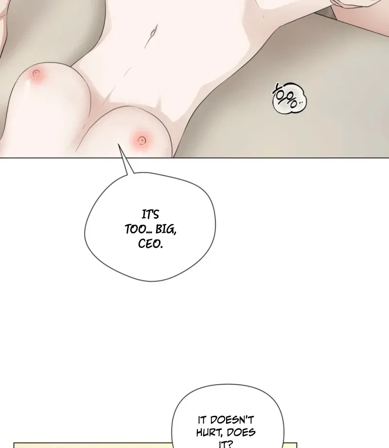 Chapter 3, page 16