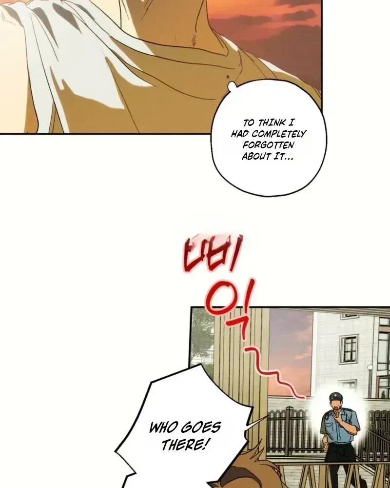 Chapter 3.6, page 39