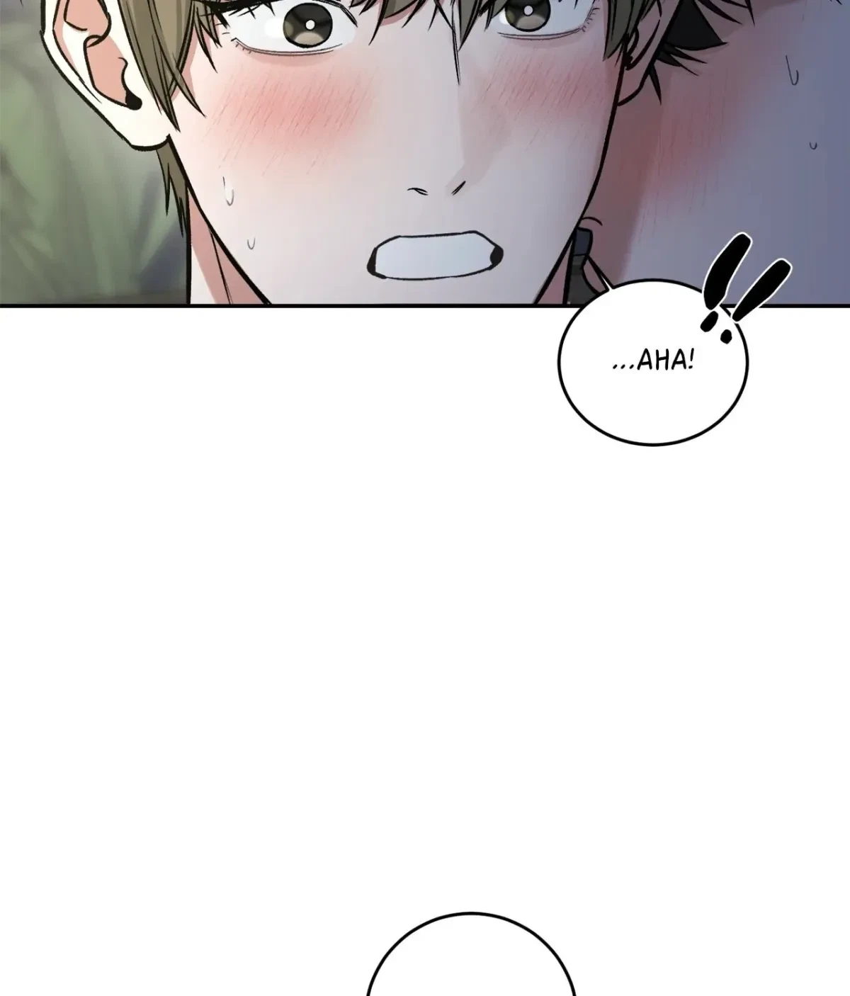 Chapter 4, page 120