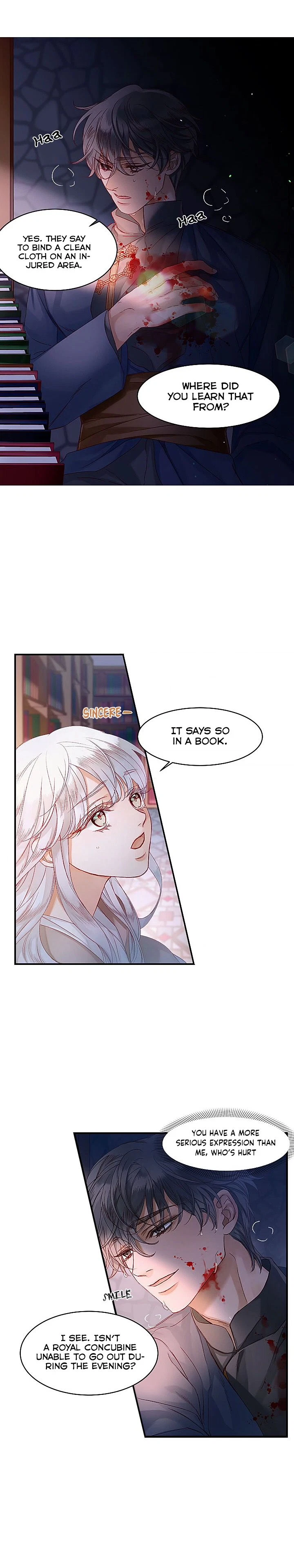 The Sultan's Love Chapter 11, page 4