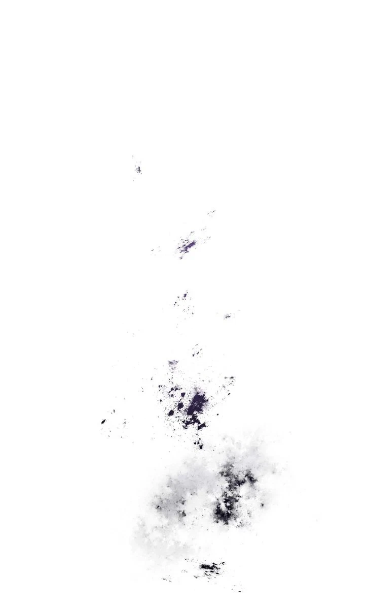 Chapter 31, page 46