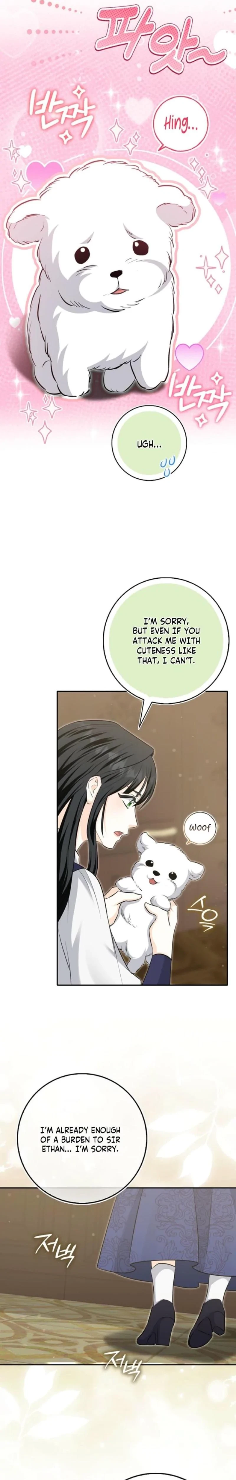 Chapter 6, page 19