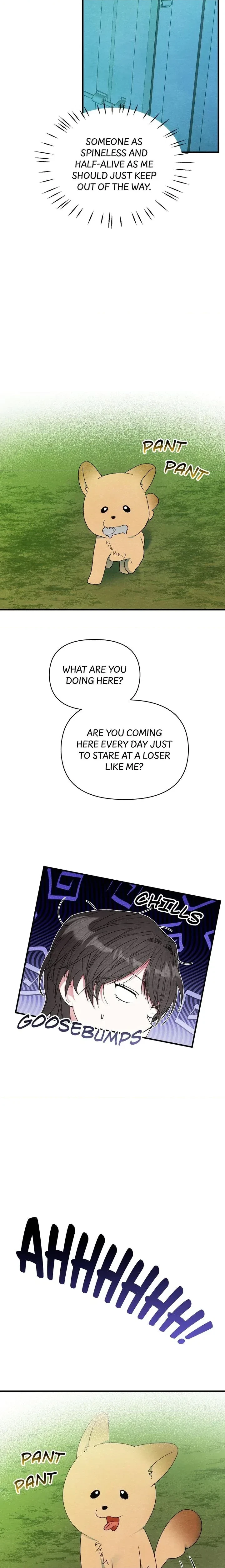 Chapter 2, page 17
