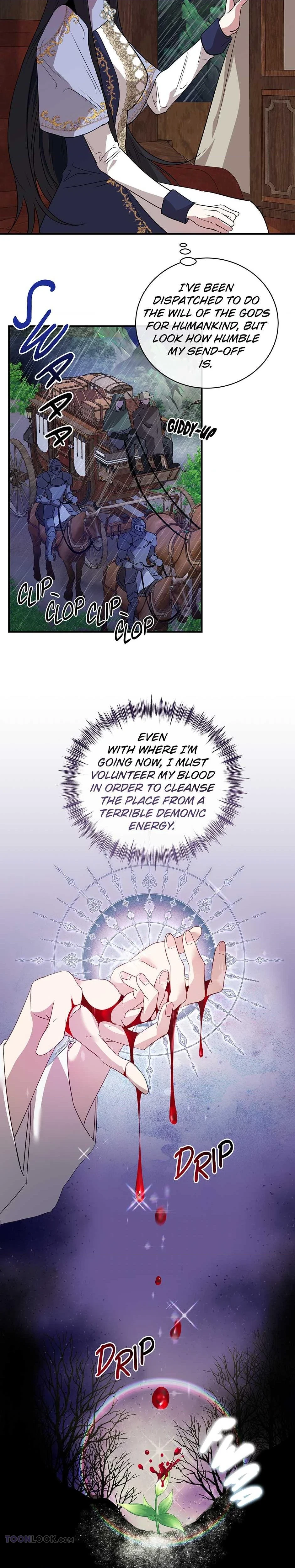 Chapter 1, page 17