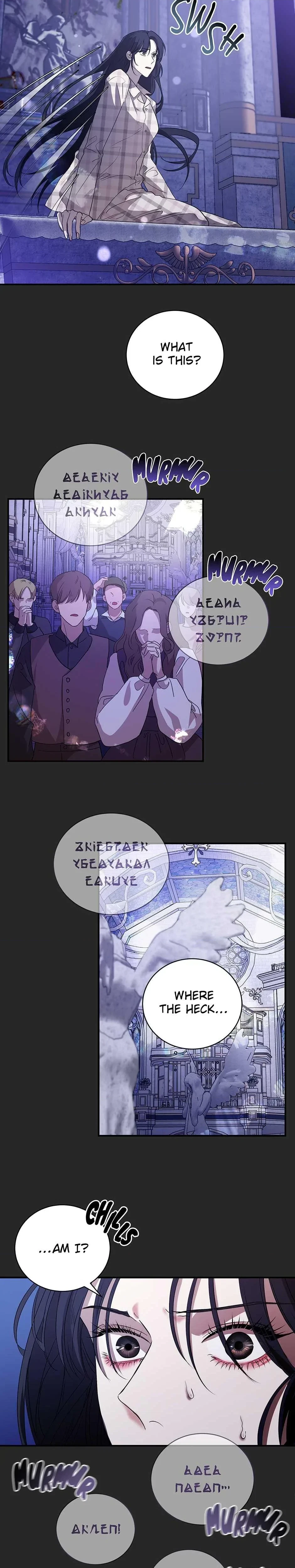 Chapter 1, page 29